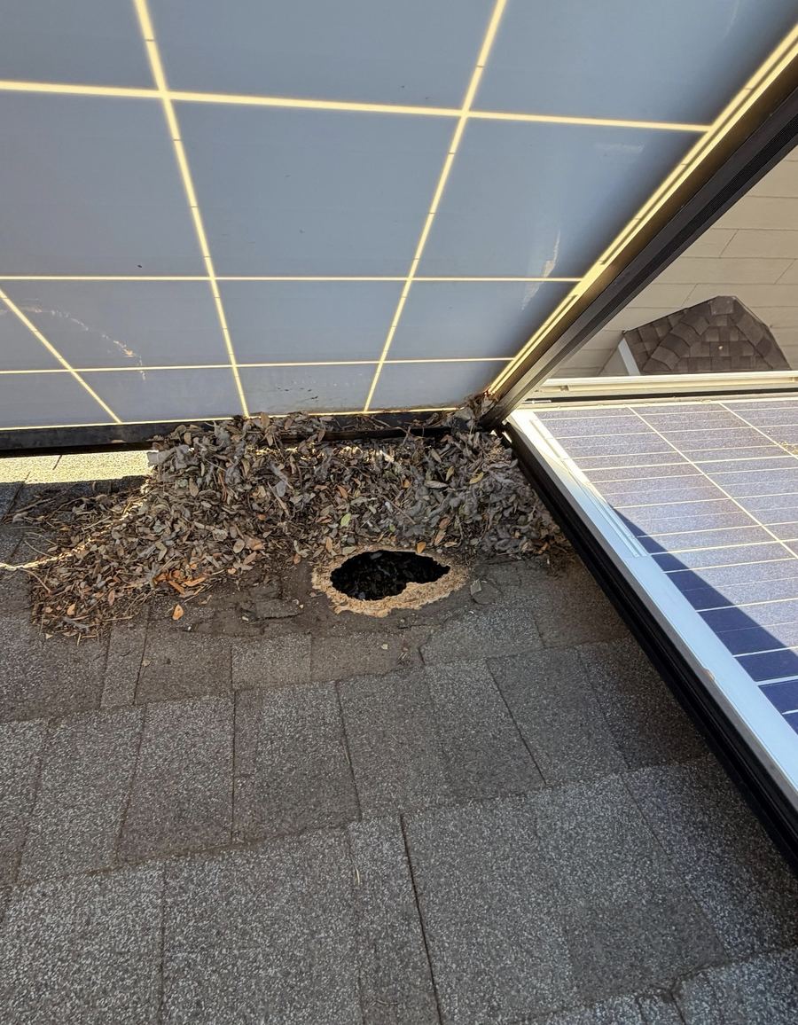 Bird nesting damage found under solar panels
